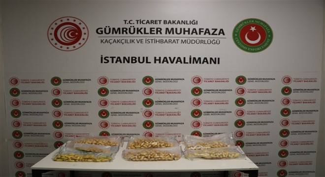 İstanbul Havalimanı'nda kokain yakalaması