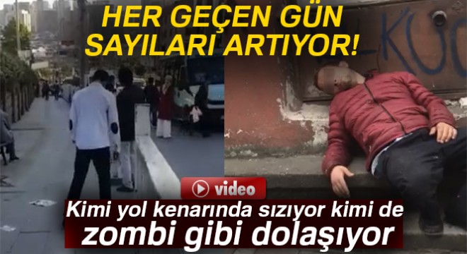 İstanbul'da bonzai manzaraları kamerada