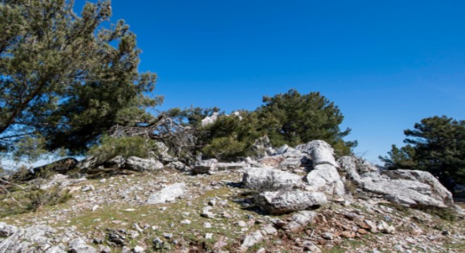 İzmir'de antik taş ocağı bulundu