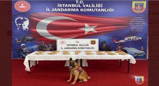 Jandarmadan uyuşturucu operasyonları