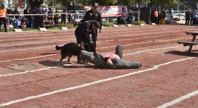 K-9'lar tatbikatta