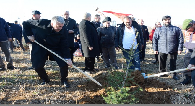 KALABA'DA FİDANLAR TOPRAKLA BULUŞTU