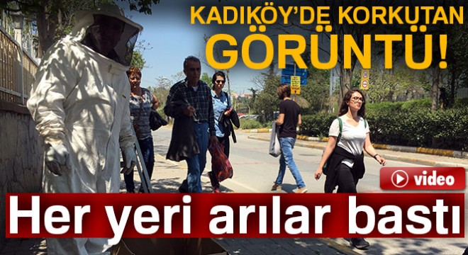 Kadıköy'ü arılar bastı