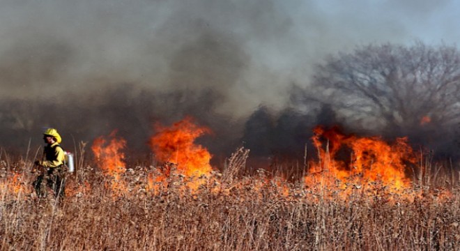 Kahramanmaraş'ta orman yangına sebebiyet veren şahıs tutuklandı
