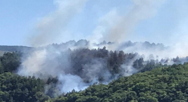 Kastamonu'da orman yangını