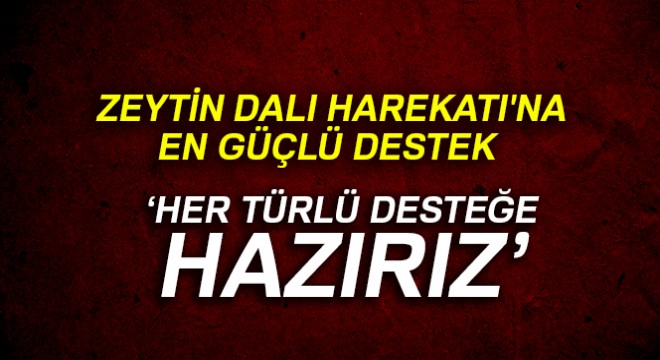 Katar'dan Zeytin Dalı Harekatı'na destek