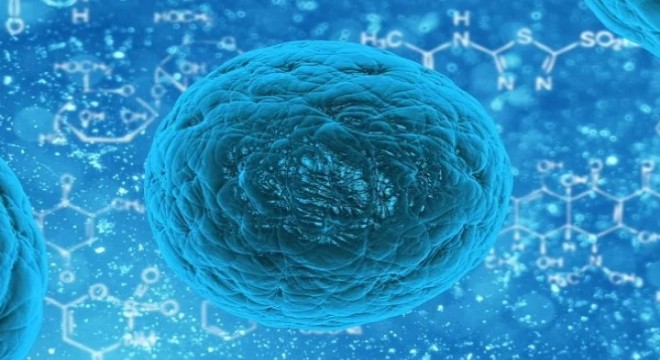 Koronavirüs salgınında ölenlerin sayısı 12 bin 219'a ulaştı