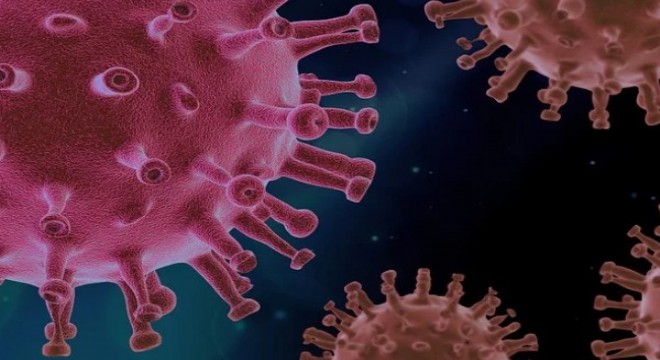 Koronavirüs salgınında ölenlerin sayısı 6 bin 016'ya ulaştı