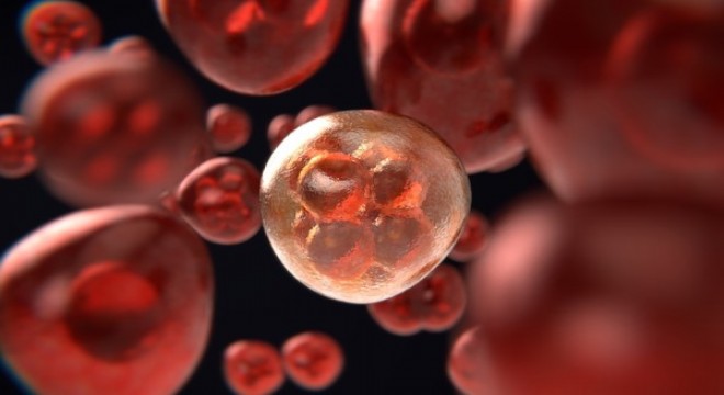 Koronavirüs salgınında ölenlerin sayısı 6 bin 462'ye ulaştı