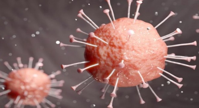 Koronavirüs salgınında ölenlerin sayısı 6 bin 620'ye ulaştı