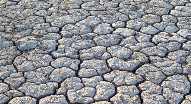 Kuraklık alarm veriyor bitkiler ve arılar yok oluyor