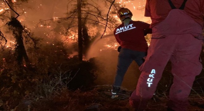 Mersin ve Manavgat'taki orman yangınları