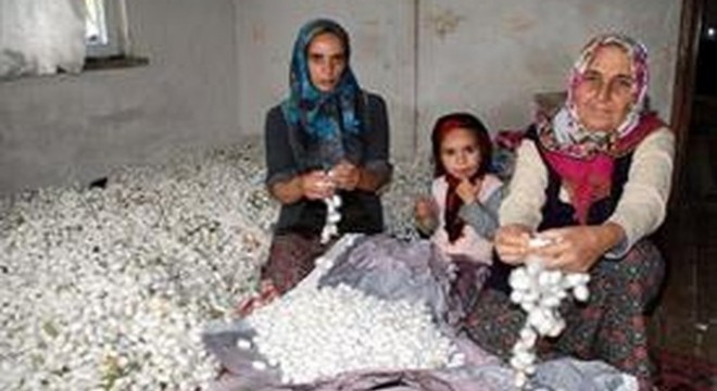 Nallıhan'a AKA desteği