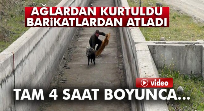 Ne yaptılarsa olmadı: Tam 4 saat yakalamaya uğraştılar