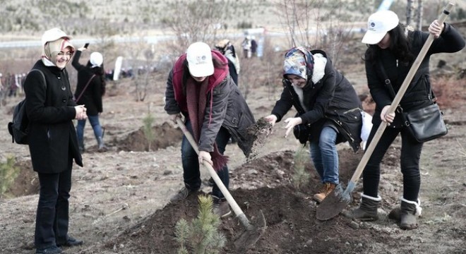 Öğrenciler fidan dikti