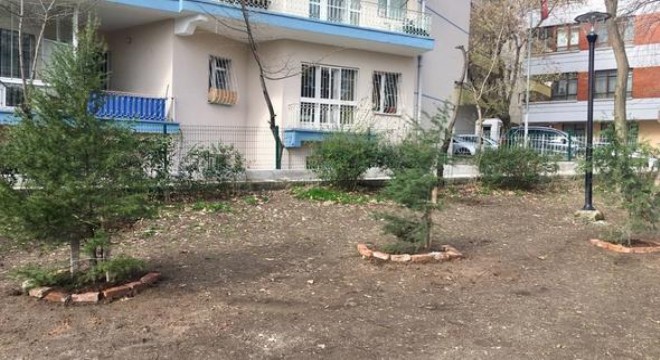 Özveren Parkı'nda ağaç tedirginliği