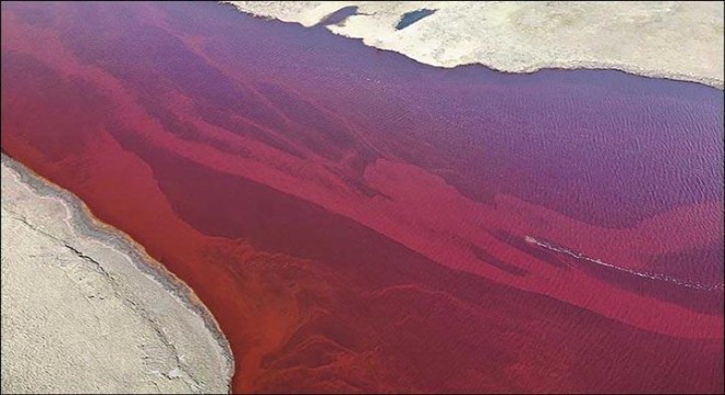 Rusya'da doğa felaketi, 20 bin ton dizel nehre karıştı