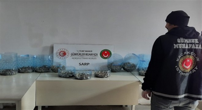 Sarp Sınır Kapısı'nda su kaplumbağası yakalandı