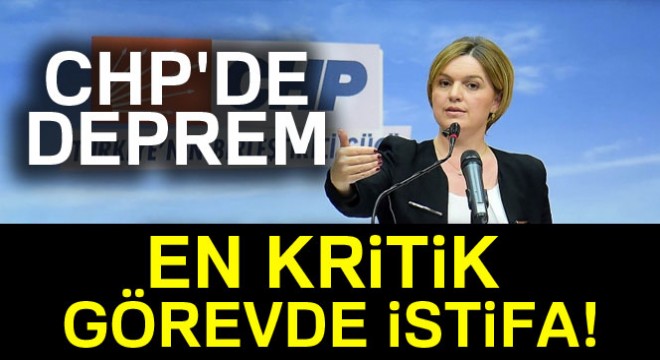 Selin Sayek Böke CHP'deki görevlerinden istifa etti