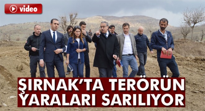 Şırnak'ta terörün yaraları sarılıyor