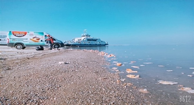 Sokak hayvanları unutulmuyor