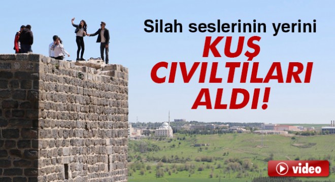 Sur'da silah seslerinin yerini kuş cıvıltıları aldı