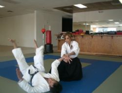 Ankara'da Japon Savunma sanatları sergisi