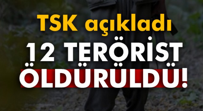 TSK: '12 terörist etkisiz hale getirildi'