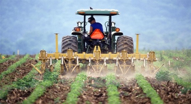 Tarımsal destek ödemeleri çiftçilerin hesaplarına aktarılıyor