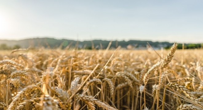 Tarımsal girdi fiyat endeksi (Tarım-GFE) yıllık %57,26, aylık %10,12 arttı