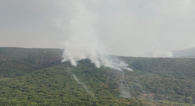 Tunceli'de 2 helikopter ve 1 uçakla yangına müdahale sürüyor