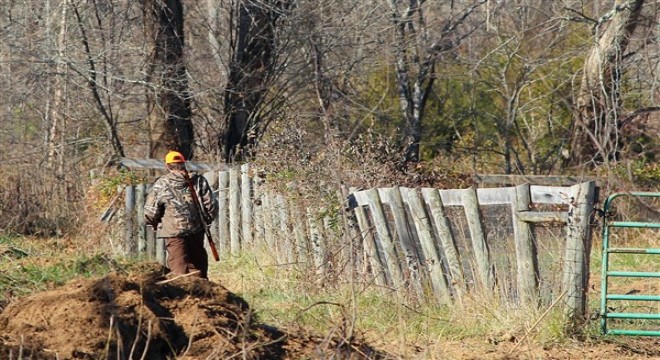 Tunceli'de yaban keçisi avlayan şahıslara 345 bin 988 lira ceza verildi