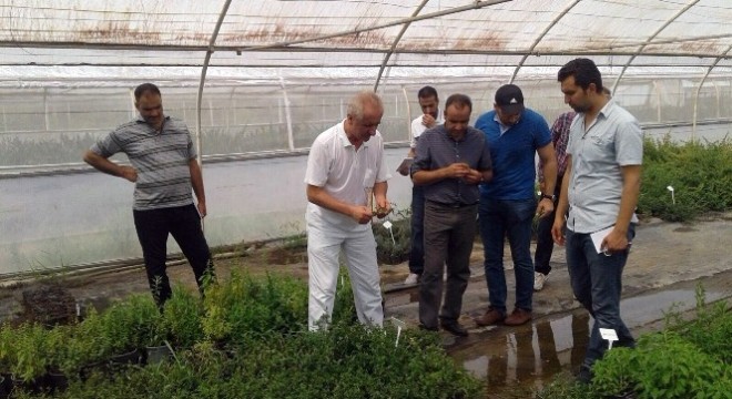 Türkiye tarım alanındaki tecrübelerini Ürdün ile paylaşıyor