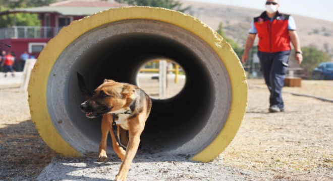 Türkiye'yi bu ekip kurtaracak