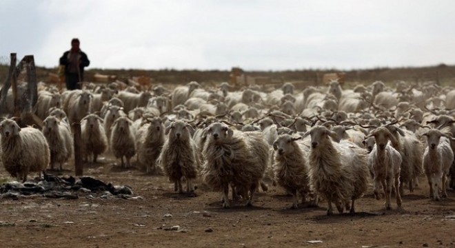 Üreticiler bayram etti