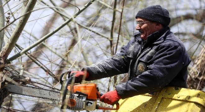 Yenimahalle'de budama zamanı