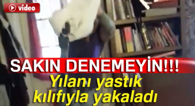 Yılanı yastık kılıfıyla yakaladı