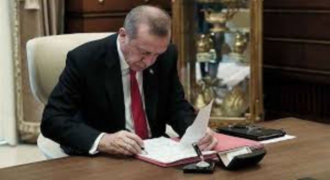 Yükseköğretimde Yapılanma: Yeni Fakülteler ve İsim Değişiklikleri