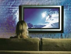 WebTV'de 1 TL'ye 78 kanal izle