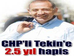 Tekin'e 2.5 yıl hapis