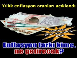 Enflasyon rakamları açıklandı