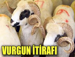 MAYET'in vurgun itirafı