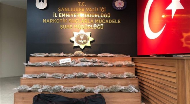 Şanlıurfa'da 32 kilo 250 gram skunk ele geçirildi