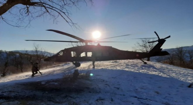 Şırnak Domuz dağı bölgesinde PKK'ya ağır darbe