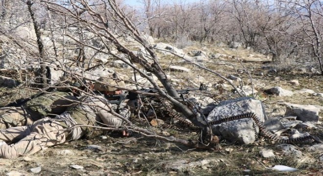 Şırnak'ta 1 terörist etkisiz hale getirildi